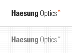 Haesung Optics Co Ltd