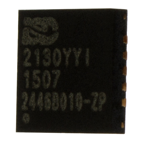 Nuvoton Technology-ISD2130YYIR Sprachaufzeichnung und Wiedergabe ISD2130YYIRimg1